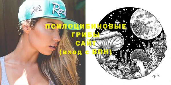 эйфоретик Аркадак