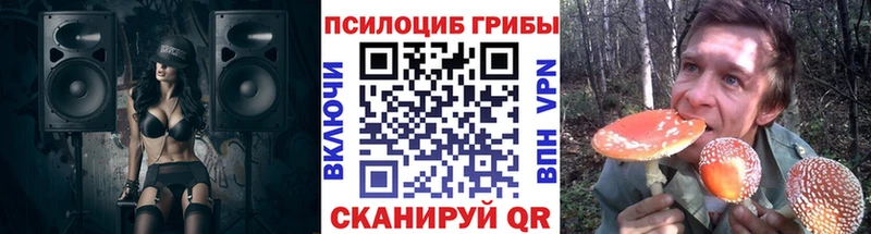 Галлюциногенные грибы ЛСД  наркотики  Россошь 