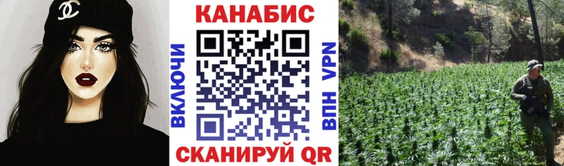 Конопля планчик  MEGA ссылки  Россошь  продажа наркотиков 